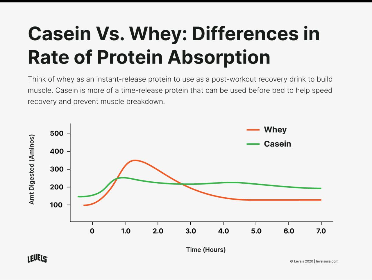 Which One Is Better Whey Or Casein Protein 2683