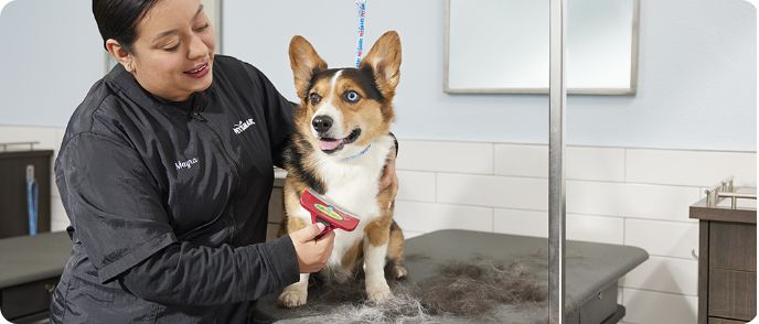 how-much-do-petsmart-groomers-make-in-california-salary-insights