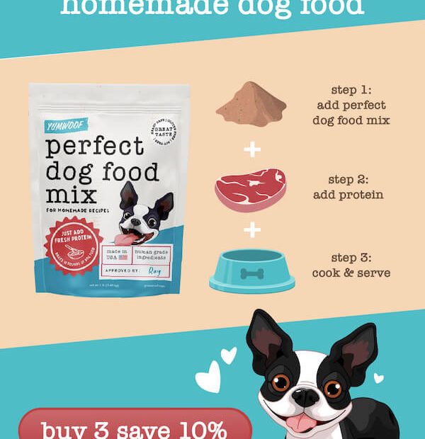 Sick Dog? Here'S How Much Chicken And Rice To Feed – Yumwoof Natural Pet  Food