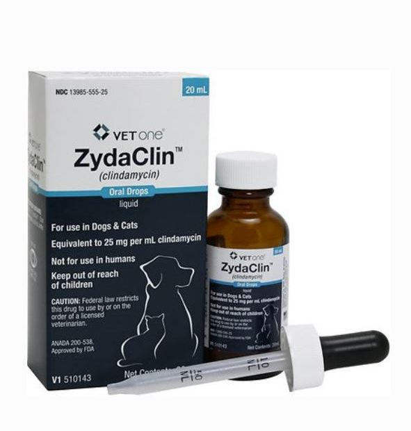 Clindamycin Hcl Oral Drops For Dogs & Cats 25 Mg/Ml 20Ml