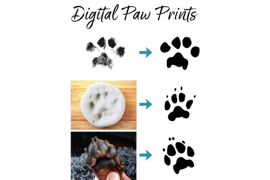 How Do You Copy A Moldy Paw Print: Preserving Precious Memories