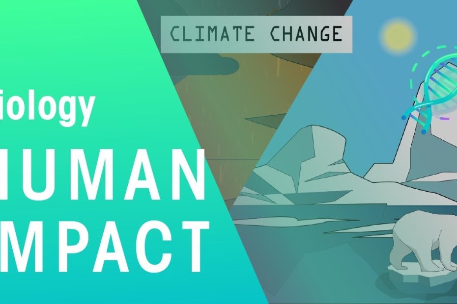 Human Impact | Environment | Biology | Fuseschool - Youtube