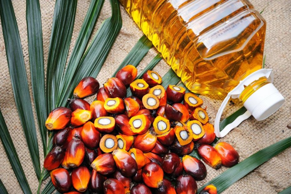 By The Way, Doctor: Is Palm Oil Good For You? - Harvard Health